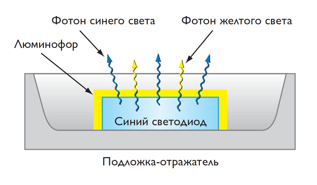 Как устроена светодиодная лампа