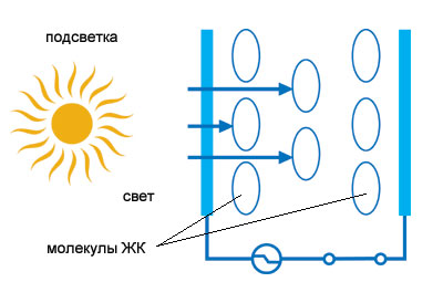 Роман с экраном