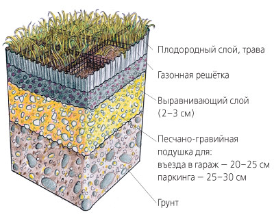 Трава у дома