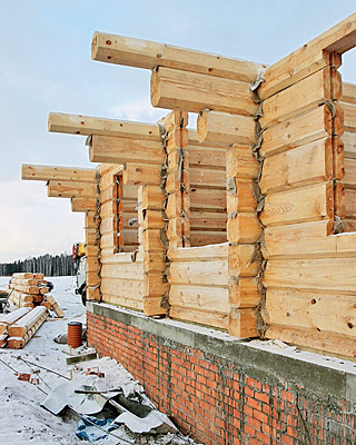 Секрет норвежской чаши