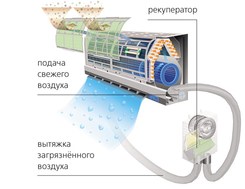 Погоду заказывали?