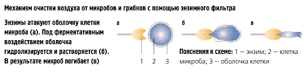 Свежестью повеяло...