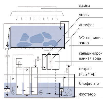 Окно в подводный мир