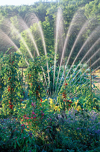 Повелители дождя