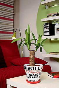 «Наряд» для цветочного горшка