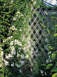 Вертикальные границы