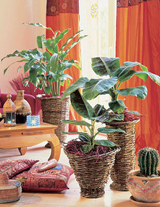 Горшечных дел мастера