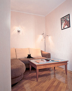 Трехкомнатная «двушка»