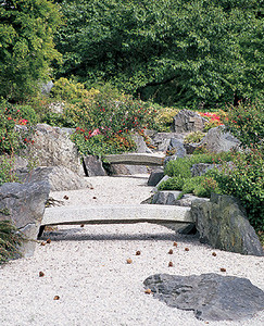 Сад по-японски