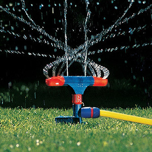 Дождик по заказу