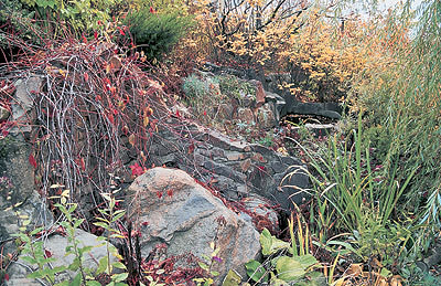 Романтика заброшенного парка