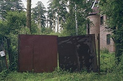 Биокоррозия стройматериалов: способы борьбы и профилактики