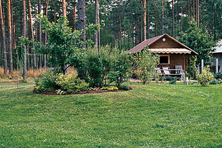 Трава у дома