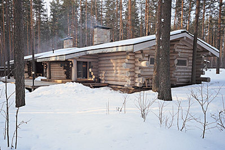 На палубе под соснами