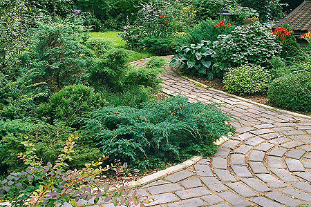 Сад в тени старого леса