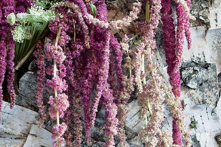 Осенние сумерки