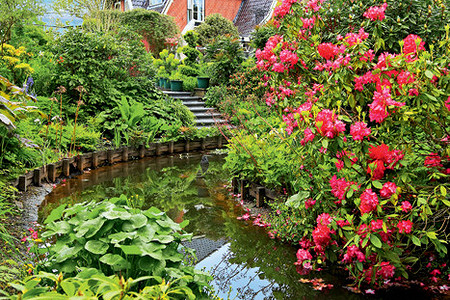 Частный сад в Подмосковье