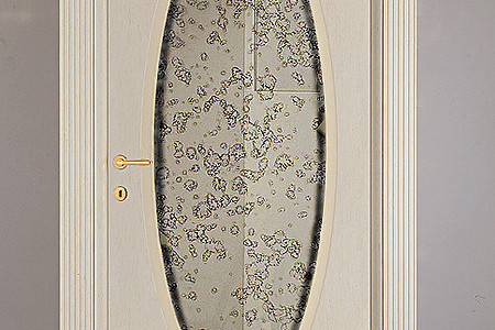 Очарование элегантной классики: коллекция дверей