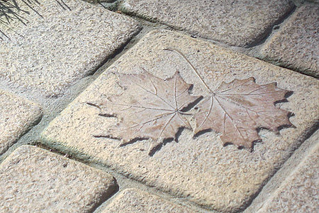 Ландшафтная графика