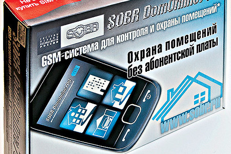 Электронный охранник