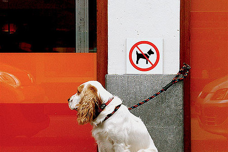 Городские жители