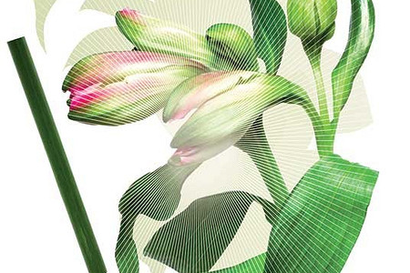 Декоративные наклейки