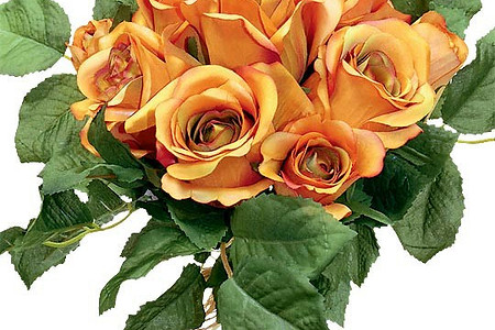 Цветы-долгожители