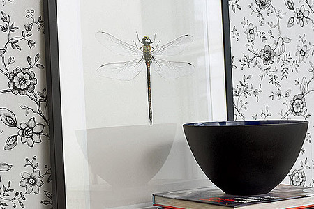 Красота доступна для всех: новая коллекция обоев