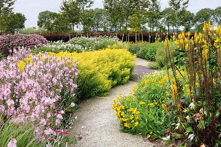 Сам себе дизайнер?