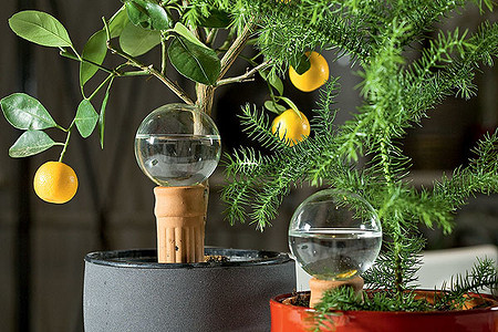 Водные процедуры