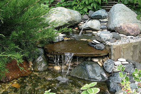 В жанре садовой миниатюры