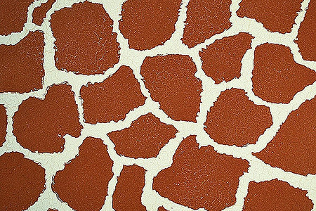 Джунгли в доме:  настенные декоративные покрытия