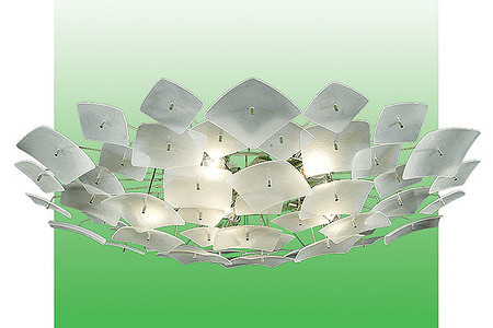 Свет —  основа жизни