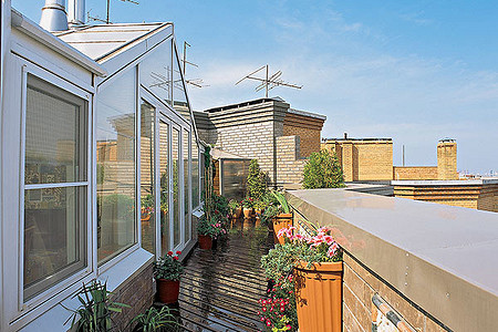 Заселение крыши