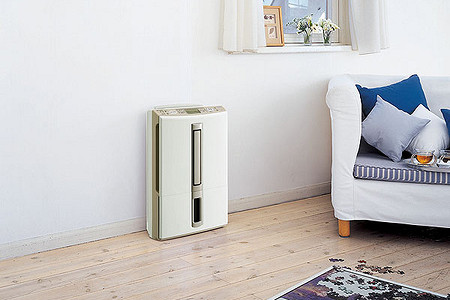 Анатомия комфорта