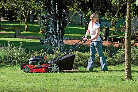 Газонные «стилисты»