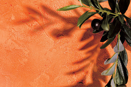 Арт-провокация