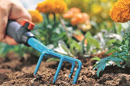 Подарите жизнь саду: ирригационная «Базовая система»