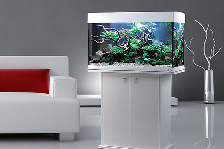 Жилище для рыб