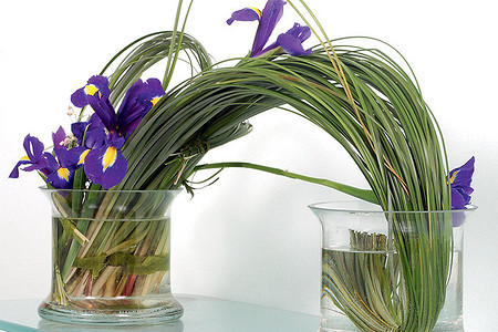 Послание в цветах