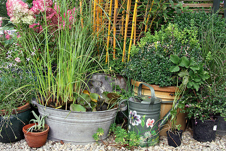 Солисты в контейнерах