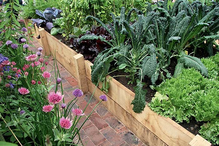 Грядки в арт-порядке