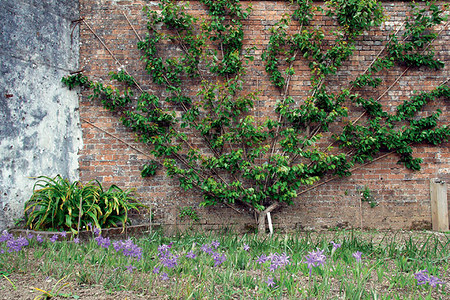 Жизнь на плоскости