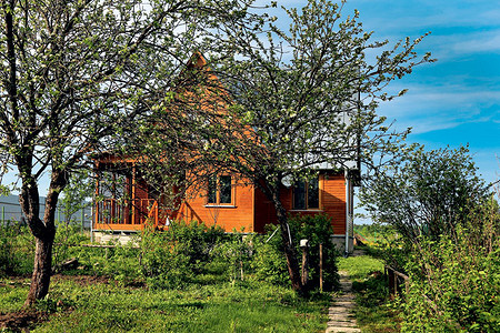 Земля под контролем