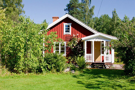 Дачное рейдерство