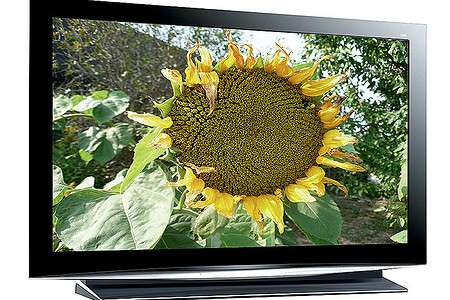 Биокамины и большой телевизор: обзор новинок