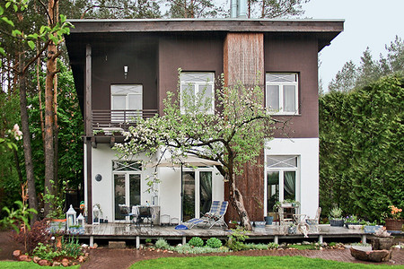 Яблоня под окном...