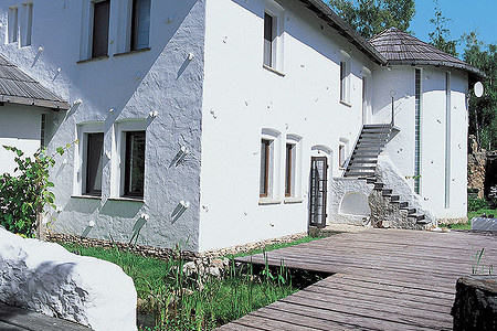 Прогулки по дереву