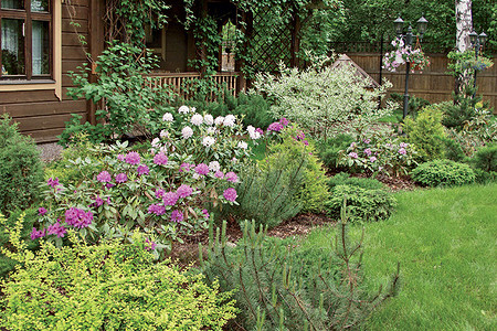 Подземная паутина