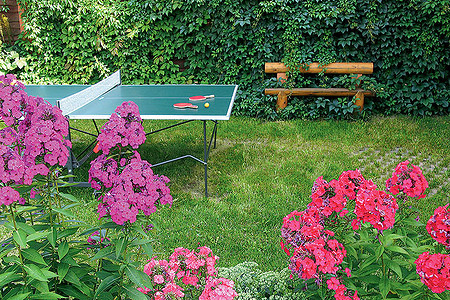 Спортивный азарт